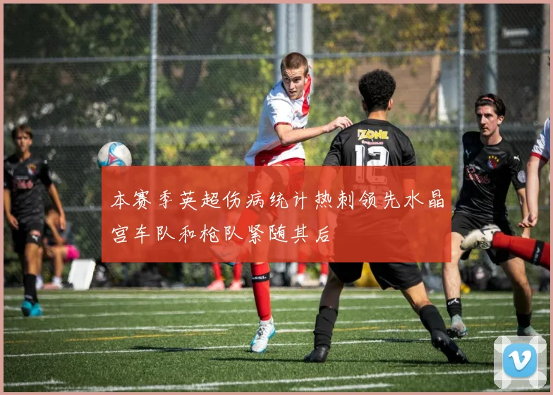 本赛季英超伤病统计热刺领先水晶宫车队和枪队紧随其后